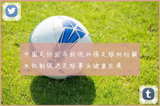 中国足协发布新规加强足球纠纷解决机制促进足球事业健康发展