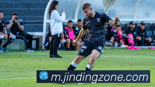 金鼎app平台平台生态图